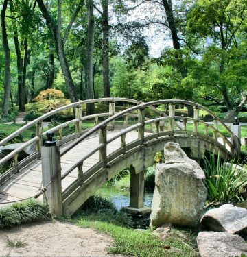 Japanese Garden with Bridge